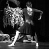 Le sacre du printemps – cie C
